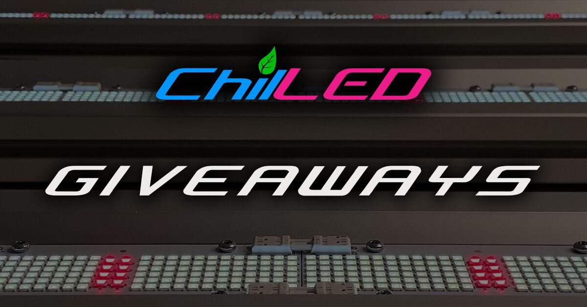 Crownful on X: Chill out with Crownful! Enter our giveaway for a